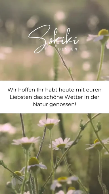 Blühende Wiese mit weißen Blumen und verschwommenem Hintergrund.