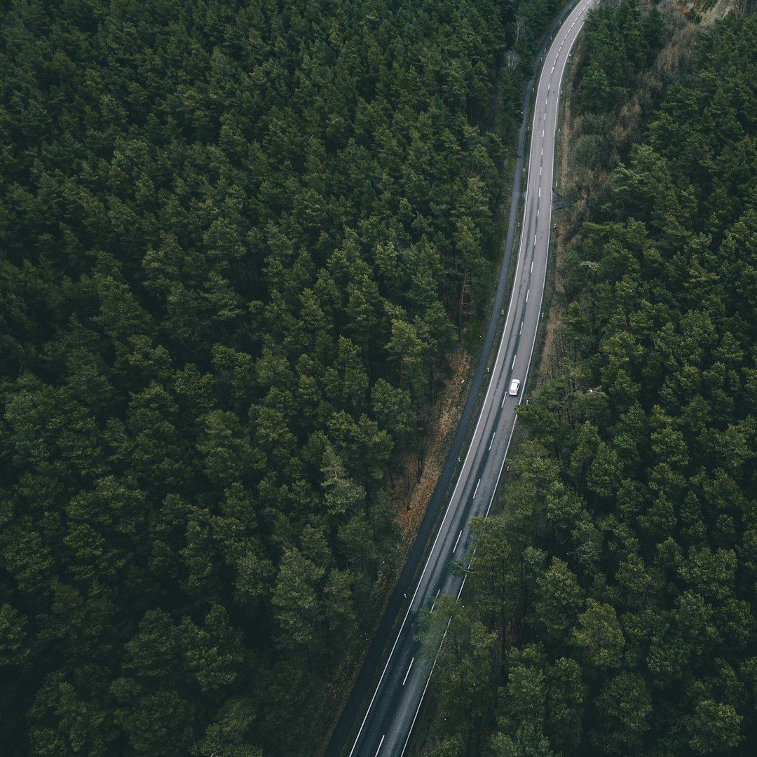 So entsteht deine Werbetechnik Kurvenreiche Straße durch dichten grünen Wald mit einem Fahrzeug. Der Weg ist das Ziel und der Prozess ist wie eine lange Straße.